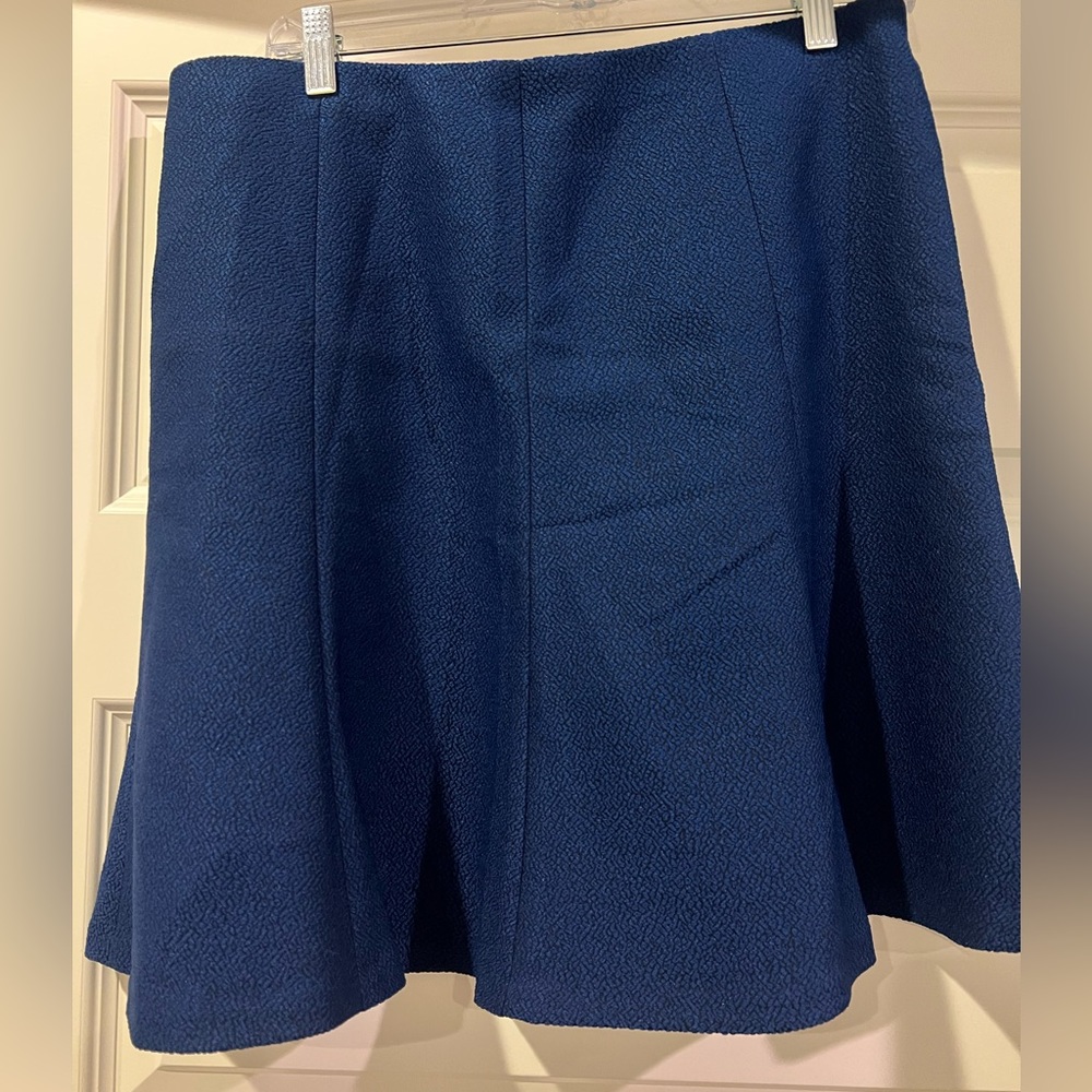 Ann Taylor skirt